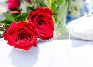 0 Faizli Kredi Almanın Adımları 0 Faizli Kredi Almanın Adımları