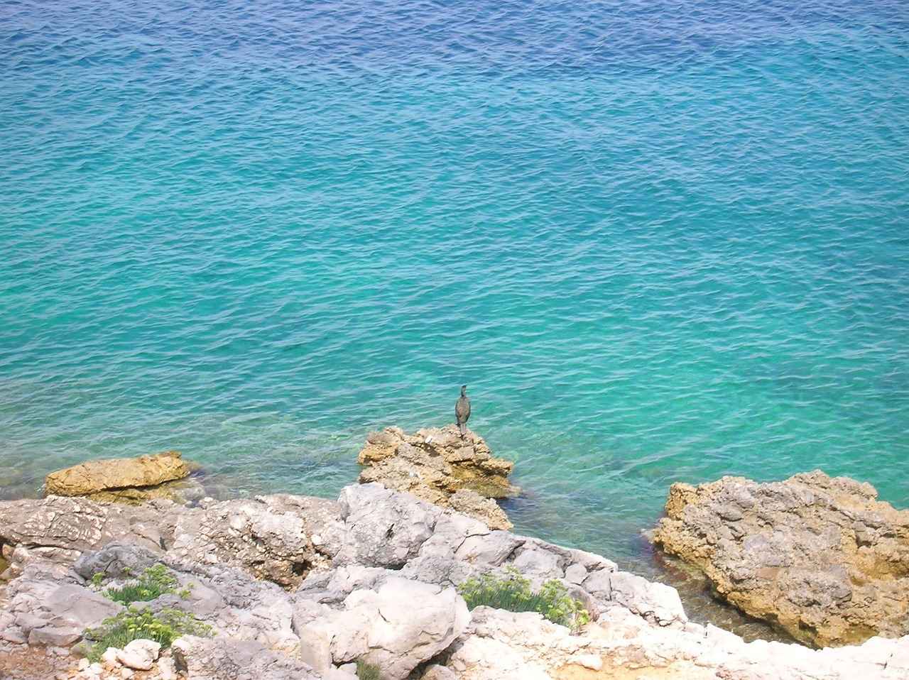 0 Faizli Kredi Almanın Adımları 4 0 Faizli Kredi Almanın Avantajları