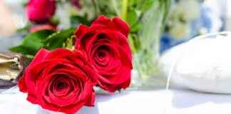 0 Faizli Kredi Almanın Gizli Yolları 0 Faizli Kredi Almanın Gizli Yolları