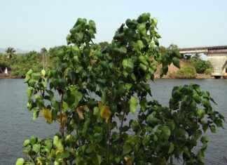 0 Faizli Kredi Almanın Kolay Yolları 0 Faizli Kredi Almanın Kolay Yolları