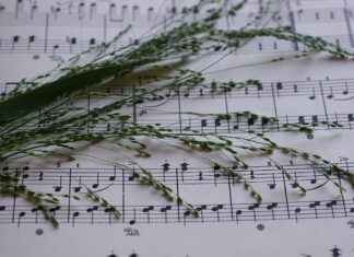 0 Faizli Kredi Almanın Sırları 0 Faizli Kredi Almanın Sırları