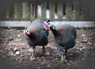 0 Faizli Kredi: Ekonomik Bağımsızlığın Anahtarı 0 Faizli Kredi: Ekonomik Bağımsızlığın Anahtarı