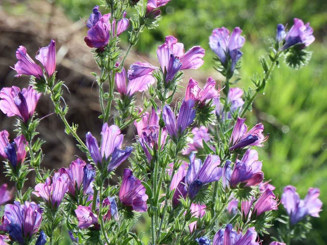 0 Faizli Kredi Türleri