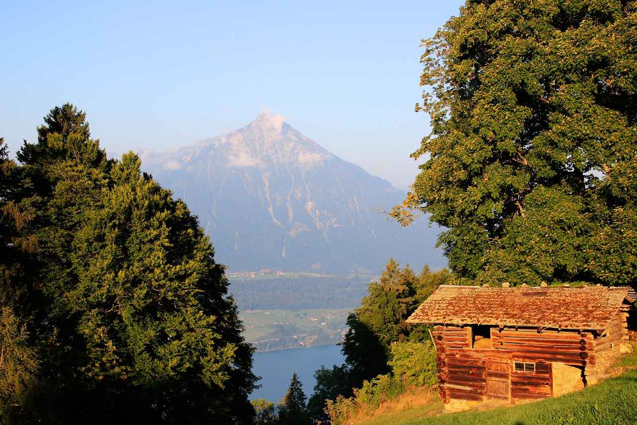 0 Faizli Kredi Alırken Dikkat Edilmesi Gerekenler
