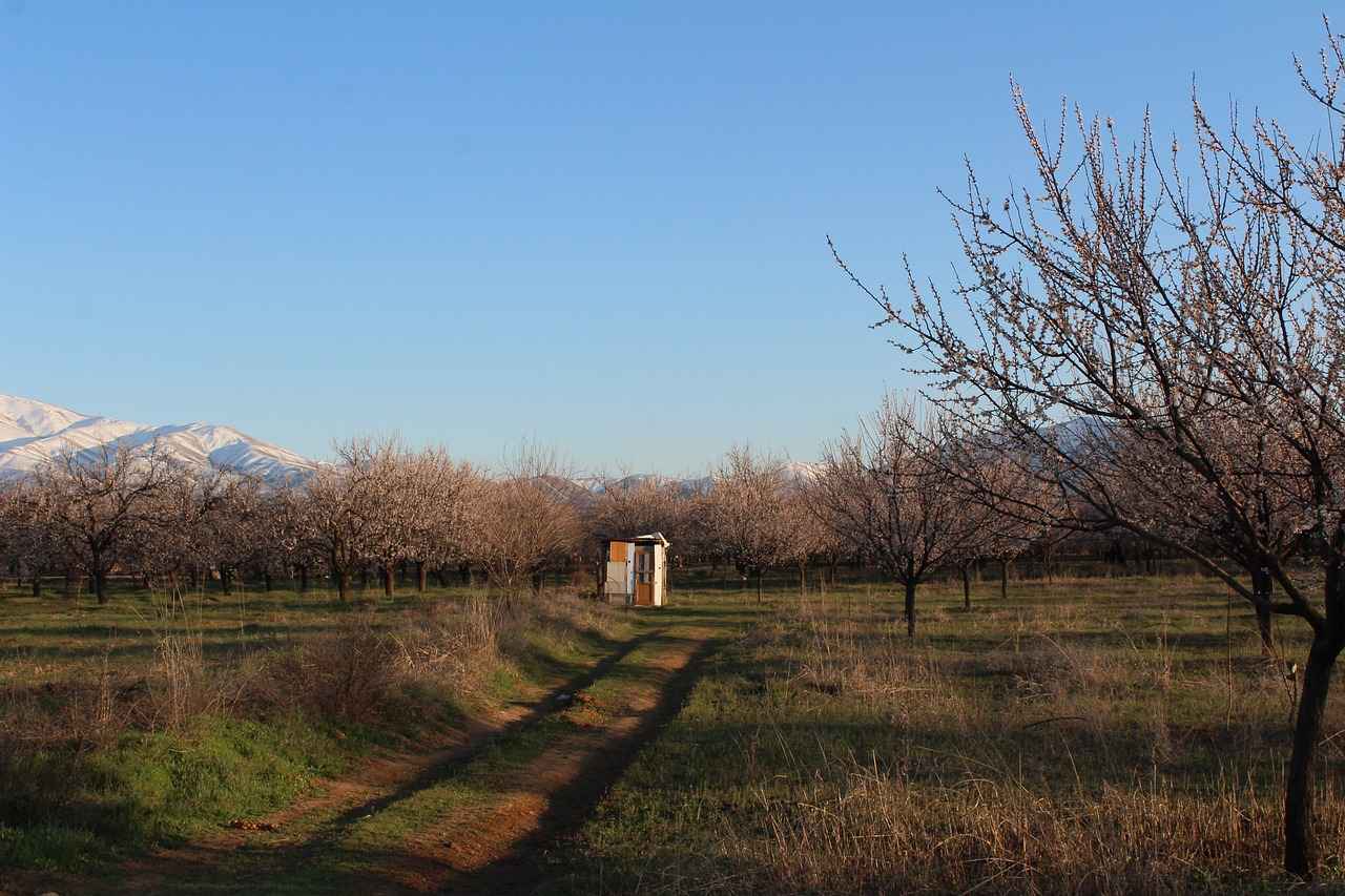0 Faizli Kredilerin Sağladığı Fırsatlar