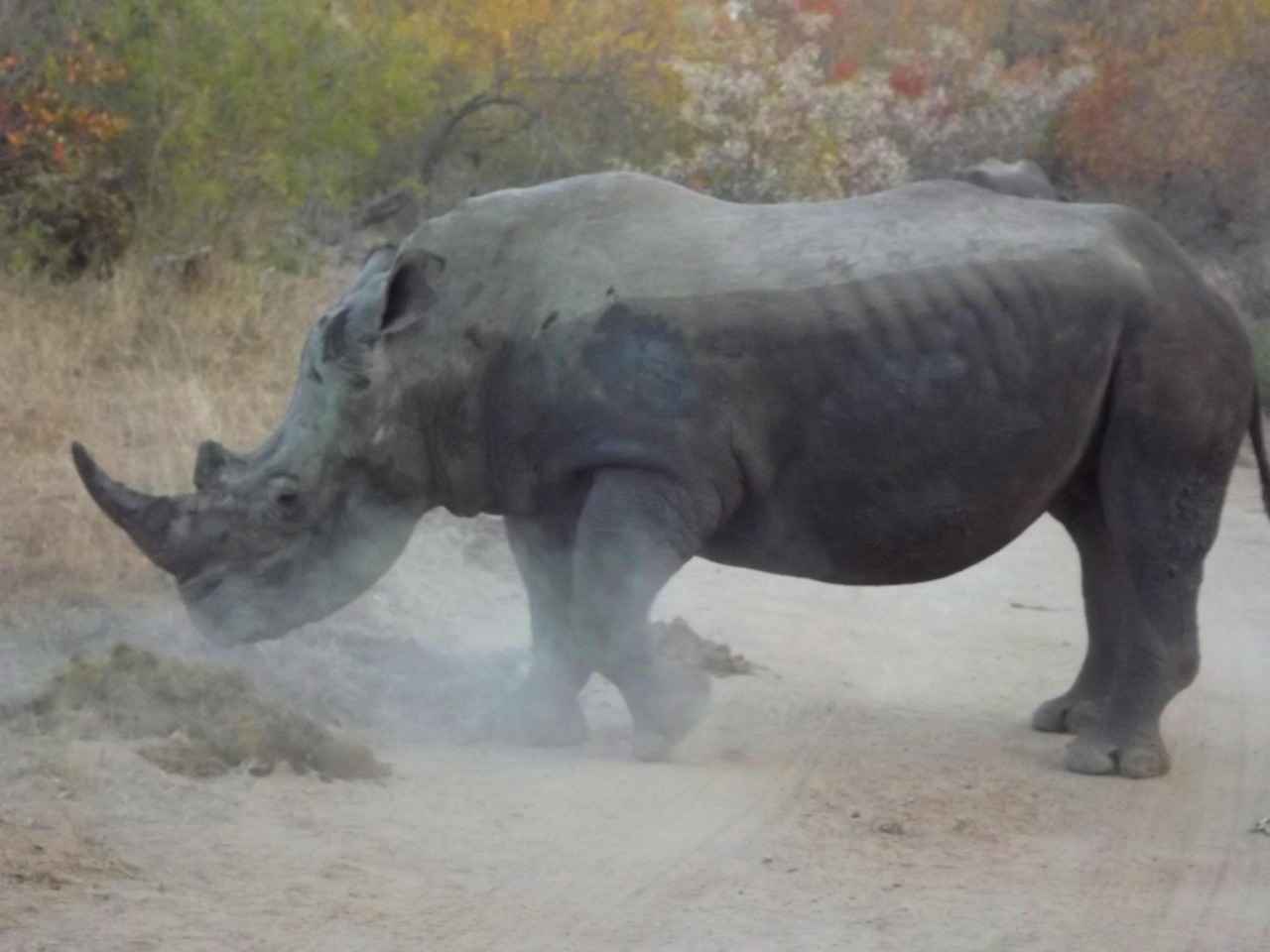 0 Faizli Kredi İle Hızla Borçlarınızı Kapatın 1 0 Faizli Kredi Nedir?