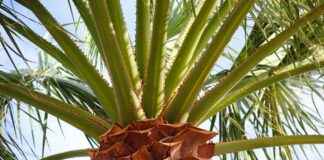 0 Faizli Kredi ile Hızla İş Kurun 0 Faizli Kredi ile Hızla İş Kurun