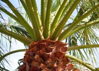 0 Faizli Kredi ile Hızla İş Kurun 0 Faizli Kredi ile Hızla İş Kurun