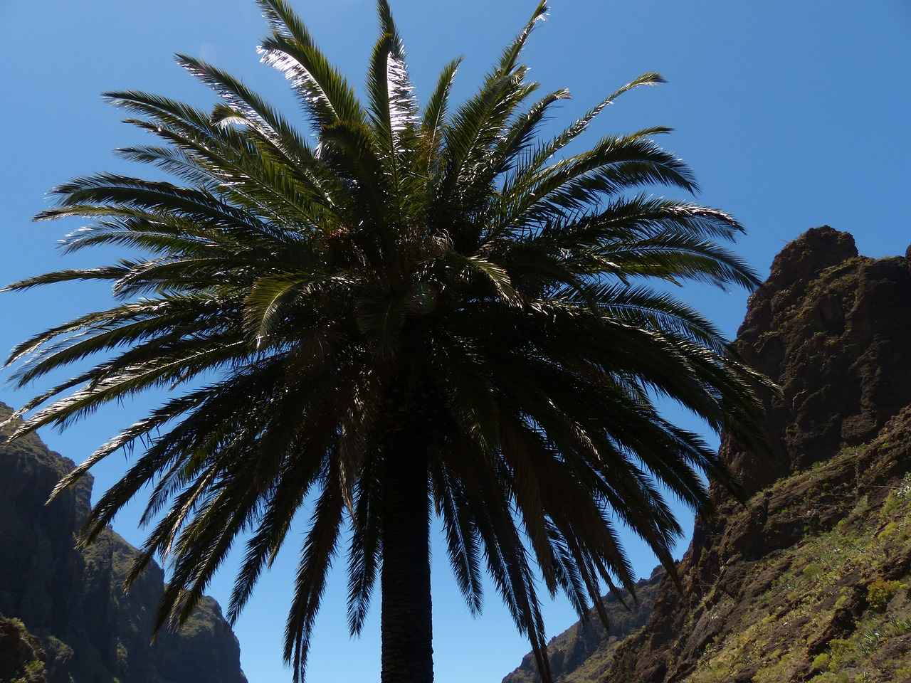 0 Faizli Kredi Almanın Avantajları