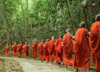 0 Faizli Kredi ile Hızla Zengin Olun 0 Faizli Kredi ile Hızla Zengin Olun