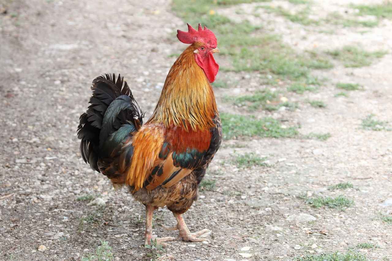 0 Faizli Kredi ile Hızla Zenginleşin 5 Sonuç: 0 Faizli Kredi ile Zenginleşme Fırsatları