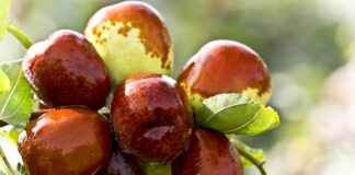 0 Faizli Kredi ile İş Kurmanın Avantajları 0 Faizli Kredi ile İş Kurmanın Avantajları