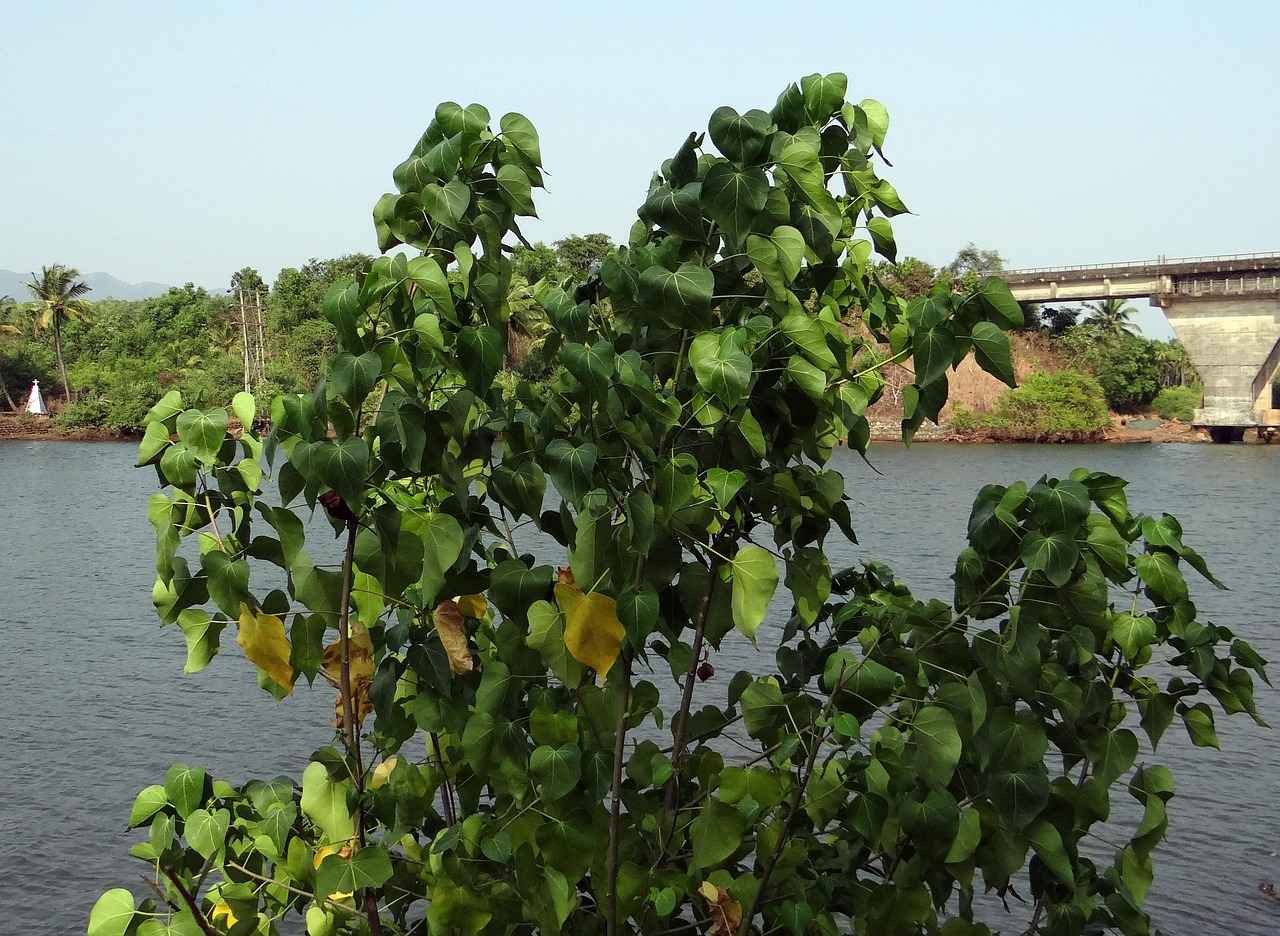 0 Faizli Kredinin Avantajları