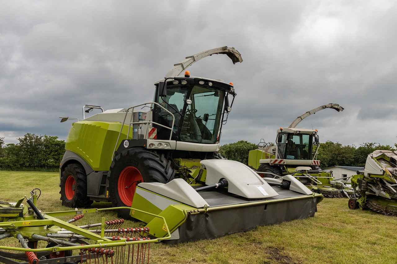 Sonuç: 0 Faizli Kredi ile Tasarrufun Geleceği