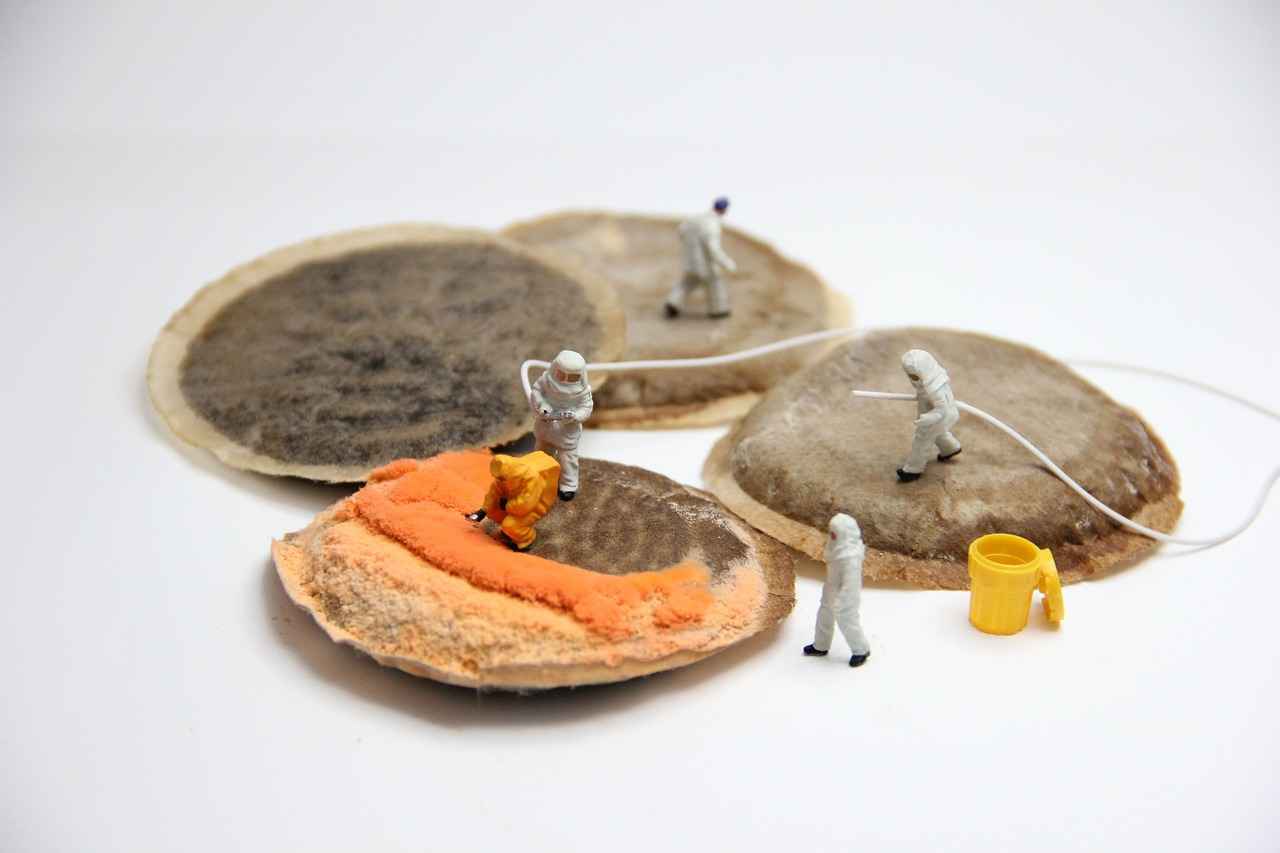 0 Faizli Kredi ile Yılın Fırsatını Kaçırmayın 5 Sonuç: 0 Faizli Kredi ile Ekonomik Fırsatlar