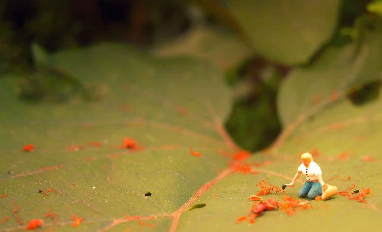 0 Faizli Kredi ile Yılın Fırsatını Kaçırmayın 3 0 Faizli Kredi Başvuru Süreci