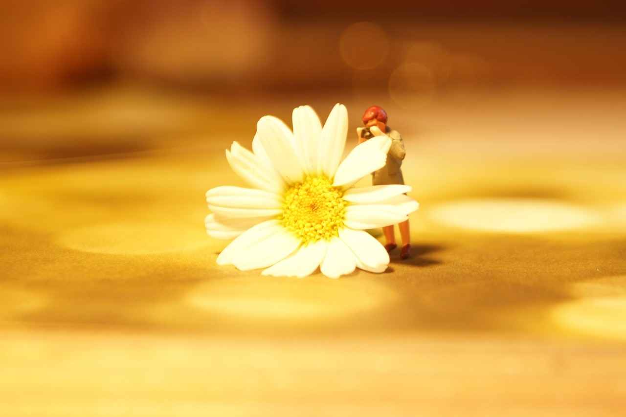 0 Faizli Kredi: Yılın Fırsatını Kaçırmayın 5 Sonuç: 0 Faizli Kredi Fırsatını Değerlendirin