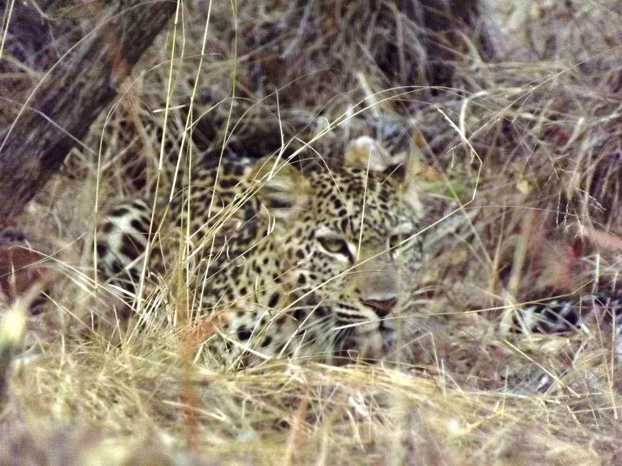 0 Faizli Kredilerle Borçlarınızı Nasıl Kapatırsınız? 3 Hangi Borçlar İçin 0 Faizli Kredi Almalısınız?