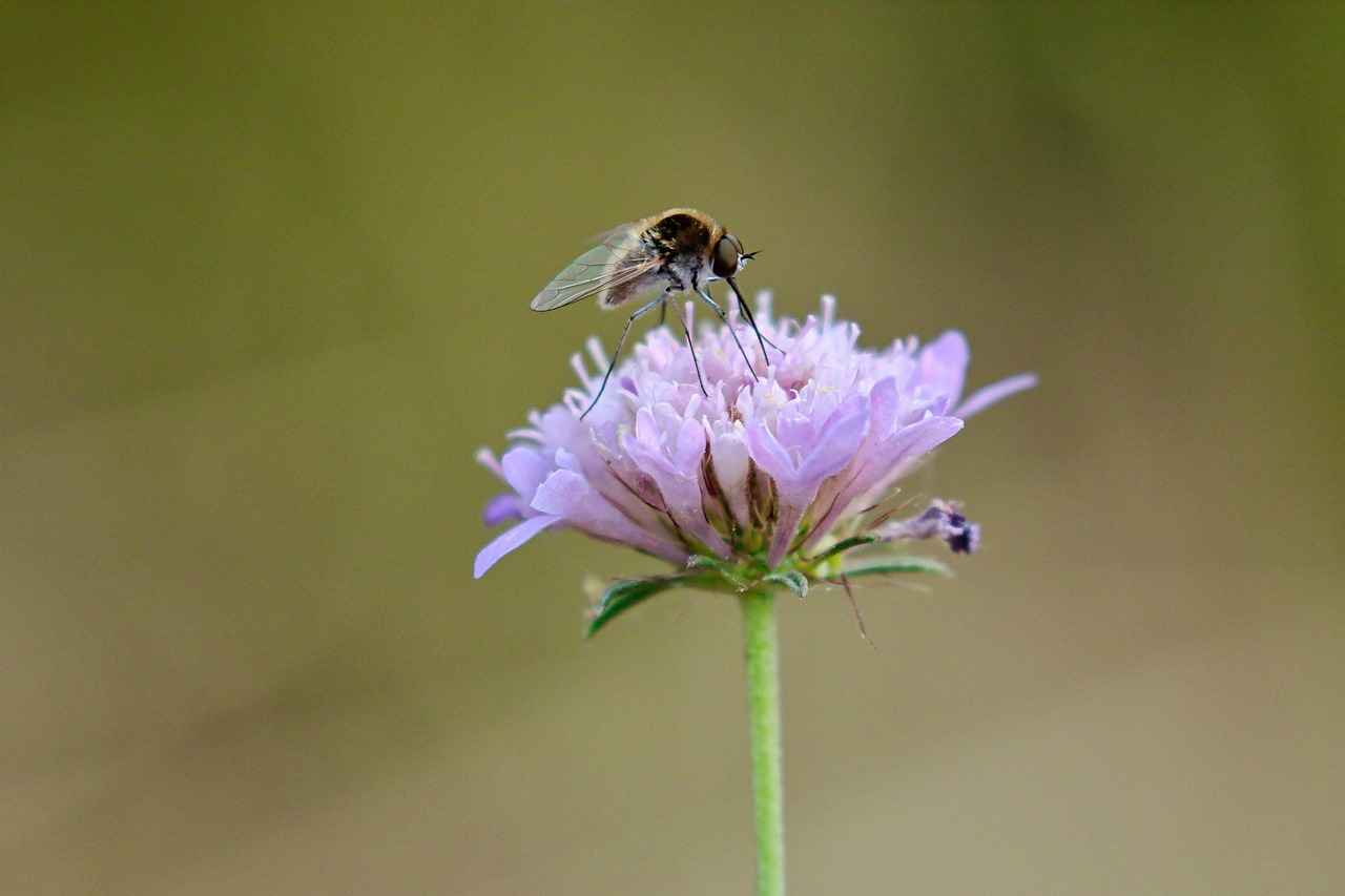 0 Faizli Kredilerle Ev Almanın Pratik Yöntemleri 5 Sonuç ve Öneriler