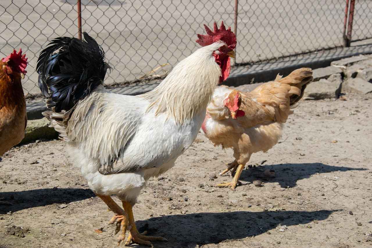 0 Faizli Kredilerle İlgili Bilmeniz Gereken Her Şey 6 Sonuç