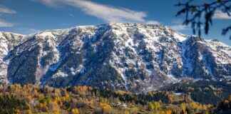 Ağaç İşleri Ustası Maaşı: Mobilya Tasarımı ve Ahşap Zanaatkarlığı Ağaç İşleri Ustası Maaşı: Mobilya Tasarımı ve Ahşap Zanaatkarlığı