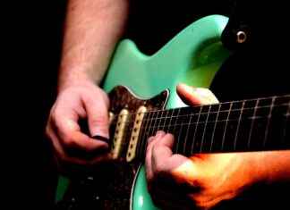 Ağaçlandırma Uzmanı Maaşı: Ormancılık ve Çevre Restorasyonu Ağaçlandırma Uzmanı Maaşı: Ormancılık ve Çevre Restorasyonu