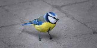 Ar-Ge Mühendisi Maaşları: Yeni Malzemeler ve Üretim Teknikleri Ar-Ge Mühendisi Maaşları: Yeni Malzemeler ve Üretim Teknikleri