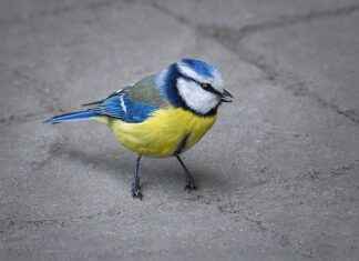 Ar-Ge Mühendisi Maaşları: Yeni Malzemeler ve Üretim Teknikleri Ar-Ge Mühendisi Maaşları: Yeni Malzemeler ve Üretim Teknikleri