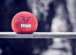 Arıcı Maaşı: Arı Kovanı Yönetimi ve Bal Üretimi Kazançları Arıcı Maaşı: Arı Kovanı Yönetimi ve Bal Üretimi Kazançları