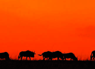 Avukatların Ortalama Maaşları ve Uzmanlık Alanlarına Göre Farklar Avukatların Ortalama Maaşları ve Uzmanlık Alanlarına Göre Farklar