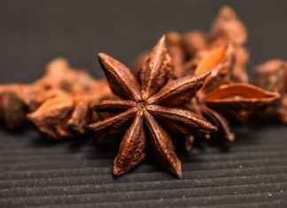 Baharat Uzmanı Maaşı: Aromatik Bitkiler ve Tatlandırıcı Geliştirme Baharat Uzmanı Maaşı: Aromatik Bitkiler ve Tatlandırıcı Geliştirme