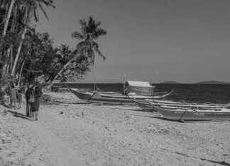 Banka Faiz Hesaplama ile En İyi Seçimi Yapın Banka Faiz Hesaplama ile En İyi Seçimi Yapın