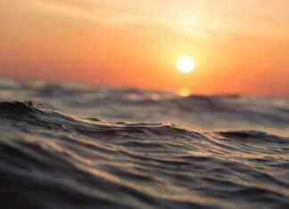 Bileşik Faiz Hesaplama Formülü ile Zenginliğinizi Artırın Bileşik Faiz Hesaplama Formülü ile Zenginliğinizi Artırın