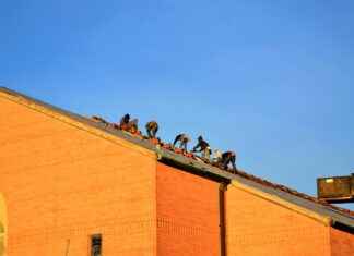 Biyolog Maaşları: Araştırma ve Laboratuvar Alanında Fırsatlar Biyolog Maaşları: Araştırma ve Laboratuvar Alanında Fırsatlar