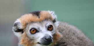 Çiftçi Maaşları: Tarım Sektöründeki Kazançlar Çiftçi Maaşları: Tarım Sektöründeki Kazançlar