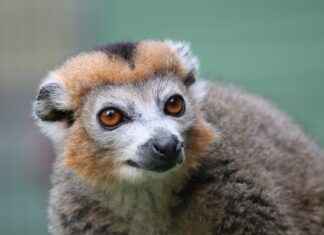 Çiftçi Maaşları: Tarım Sektöründeki Kazançlar Çiftçi Maaşları: Tarım Sektöründeki Kazançlar