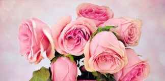 Çini Ve Seramik Sanatçısı Maaşı: Geleneksel El Sanatları Ücretleri Çini Ve Seramik Sanatçısı Maaşı: Geleneksel El Sanatları Ücretleri