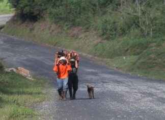 Çobana Maaşı: Hayvancılık ve Kırsal Ekonomi Gelirleri Çobana Maaşı: Hayvancılık ve Kırsal Ekonomi Gelirleri