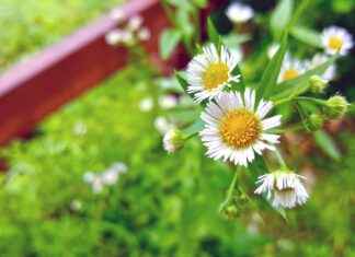 Diş Hekimi Maaşları: Özel ve Kamu Sektöründe Farklılıklar Diş Hekimi Maaşları: Özel ve Kamu Sektöründe Farklılıklar