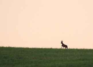 Eczacı Maaşları: İlaç Sektöründe Ne Kadar Kazanabilirsiniz? Eczacı Maaşları: İlaç Sektöründe Ne Kadar Kazanabilirsiniz?
