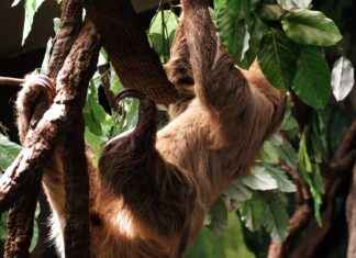 Editör Maaşları: Yayıncılık Sektöründe Kazançlar Editör Maaşları: Yayıncılık Sektöründe Kazançlar