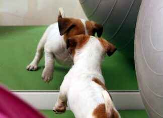 Ergoterapist Maaşları: Sağlık ve Rehabilitasyon Alanında Gelirler Ergoterapist Maaşları: Sağlık ve Rehabilitasyon Alanında Gelirler