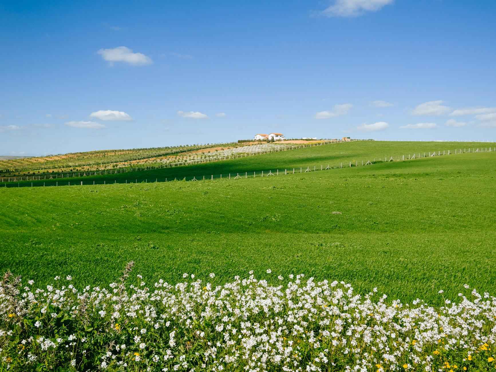 Faiz Hesaplama Yöntemleri