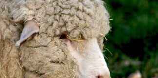 Faiz Oranları: Ekonomik Dengeyi Sağlamak Faiz Oranları: Ekonomik Dengeyi Sağlamak