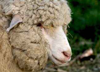 Faiz Oranları: Ekonomik Dengeyi Sağlamak Faiz Oranları: Ekonomik Dengeyi Sağlamak