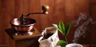 Faiz Oranları: Hangi Yatırımlar Daha Kârlı? Faiz Oranları: Hangi Yatırımlar Daha Kârlı?