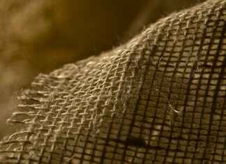 Faiz Oranları: Hangi Yatırımları Tercih Etmeli? Faiz Oranları: Hangi Yatırımları Tercih Etmeli?