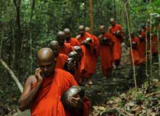 Faiz Oranları: Tasarruf Hesapları İçin En İyi Seçenekler Faiz Oranları: Tasarruf Hesapları İçin En İyi Seçenekler