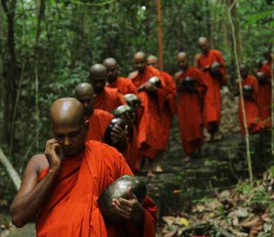 Faiz Oranları: Tasarruf Hesapları İçin En İyi Seçenekler Faiz Oranları: Tasarruf Hesapları İçin En İyi Seçenekler
