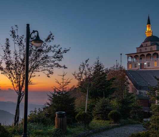 Faiz Oranları: Tasarruf Hesapları ile Yüksek Getiri Faiz Oranları: Tasarruf Hesapları ile Yüksek Getiri